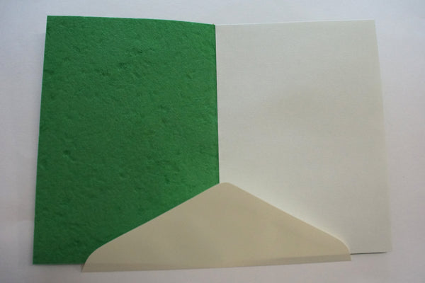 Christmas Ornaments (210)