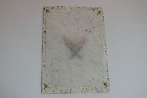 Christmas Manger (268)