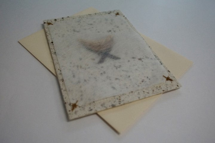 Christmas Manger (268)