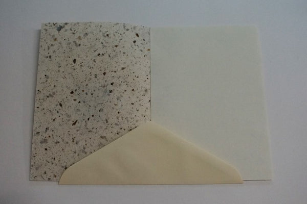 Christmas Manger (268)