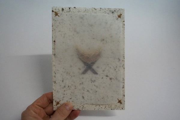 Christmas Manger (268)