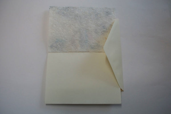 Hot Air Balloon (569)