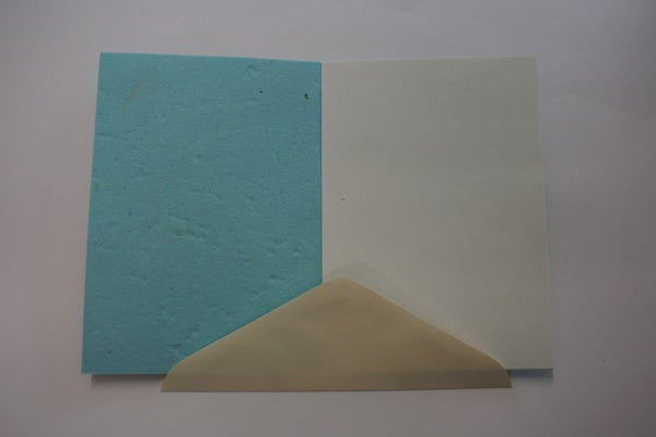 Shepherd and Sheep (606)