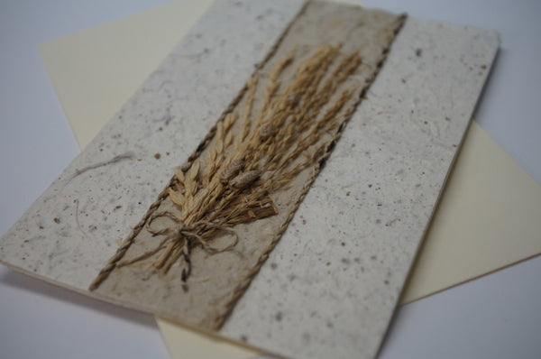 Wheat Center Dried Flower Close Up