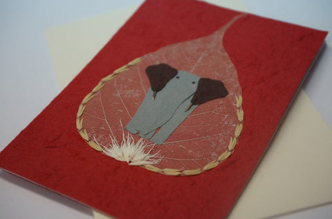 Elephant Leaf Red Close Up