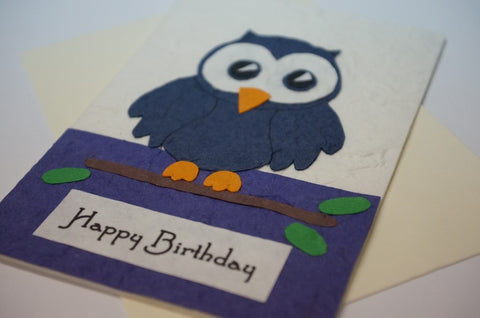 Blue Birthday Owl Close Up